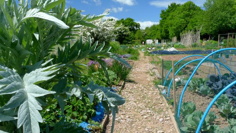 Abbotskerswell Allotments